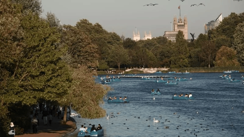 LETTS MEDIA PUBLICATION EXAMINES REWILDING IN LONDON